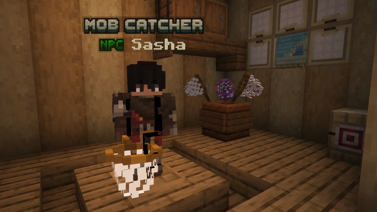 Mise à jour du MobCatcher